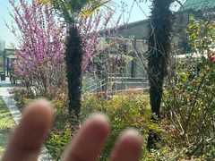 -太阳岛旅游度假区