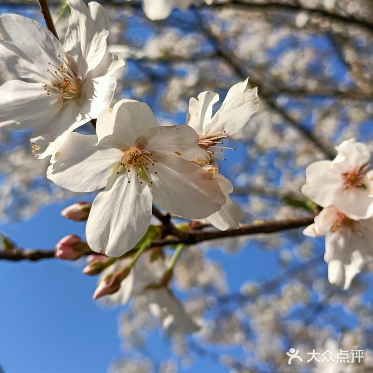 趁着蓝天去就对了
