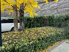 -于塗·文化餐厅(棕榈店)