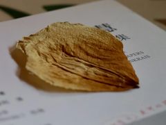 -时光花园(白鹭洲店)