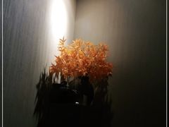 -Dragonfly 悠庭·按摩Spa(苏州中心广场店)