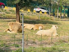 -秦皇岛野生动物园