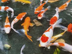 -绿房子方寸咖啡(星海名城店)