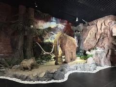 -抚顺煤矿博物馆