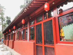 -北京上方山国家森林公园