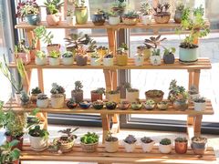 -香洲区图书馆(乐士文化区店)