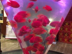 -0791赣菜新概念(福州路店)