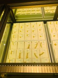 -中国黄金(北京旗舰店)