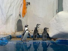 -太平洋海底世界