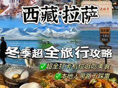 -布达拉宫