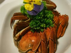 -月湖翠·上海菜(思南公馆淮海店)