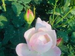 -人民公园(罗湖区)