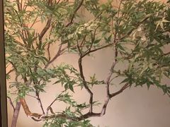 -玖五京菜(杭州城北万象城店)