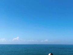 -广东惠东海龟国家级自然保护区