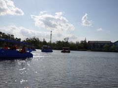 -上海长兴岛郊野公园