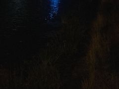 -麦当劳(世纪汇广场店)
