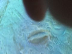 -世界之窗阿尔卑斯冰雪世界