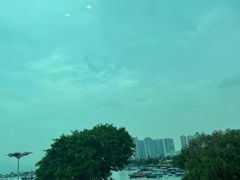 -海天花园酒家