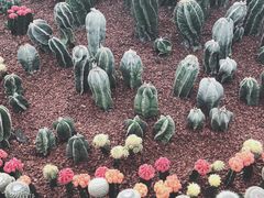 -南通洲际绿博园