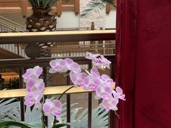 -太湖饭店·寄畅轩中餐厅