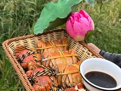 -七的湖·晚芳亭·阳澄湖农家菜·大闸蟹(莲花岛店)