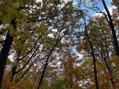 -本溪老边沟风景区