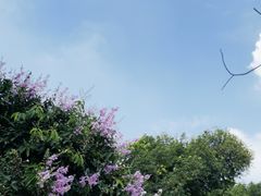 -荔湾博物馆