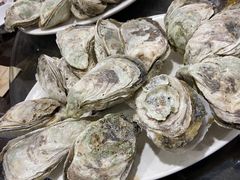 桑拿蚝-蚝专家(北滘店)