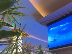 -桂满陇·蟹黄小笼汤包(清河万象店)