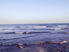 -四海蒸鲜蒸汽海鲜自助(北戴河店)
