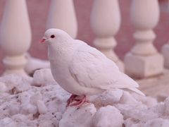 -朝阳公园