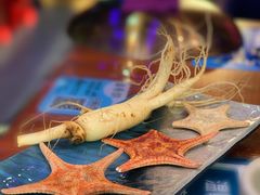 鲜人参锅底-千岛蚝高压锅生蚝·人参火锅(白云万达店)