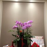 年夜饭 补文4