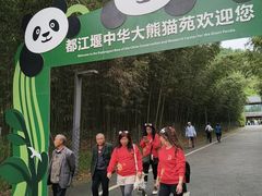 -都江堰中华大熊猫苑