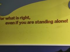 -LILY英语思维馆(玉泉路店)