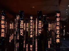 -平安金融中心云际观光层