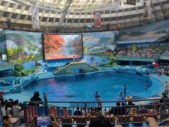 -海合安成都极地海洋公园