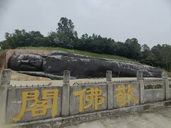 -三水森林公园