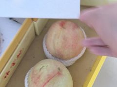 -老袁家蜜桃农场·阳山水蜜桃