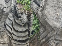 -梭布垭石林景区