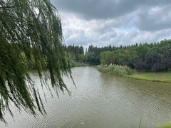 -南湖湿地公园