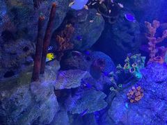 -沈阳海洋探索中心