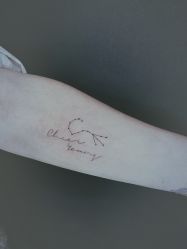 -極致刺青TATTOO STUDIO 私人订制