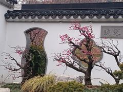 -无锡梅园公园