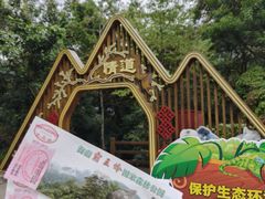 -海南霸王岭国家森林公园