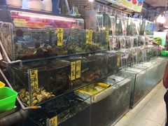 -垦丁辉哥生鱼片