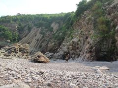 -花岙岛