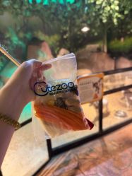 -酷嗒动物文化乐园(cutezoo西溪乐天城店)