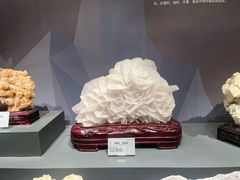 -湖南省地质博物馆