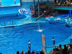 -海合安成都极地海洋公园